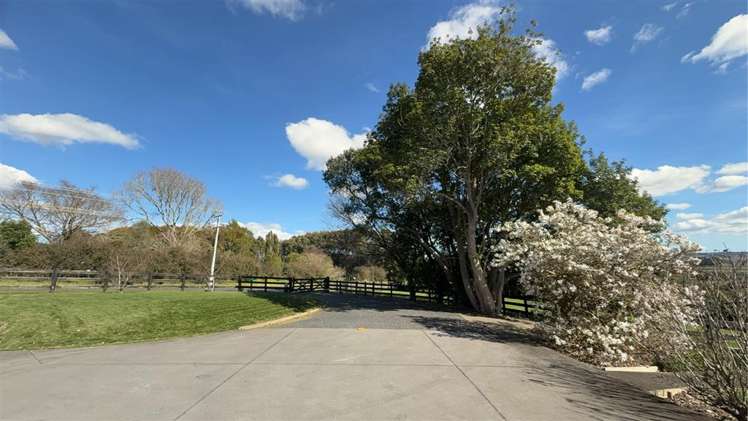 223 Logan Road Buckland_2