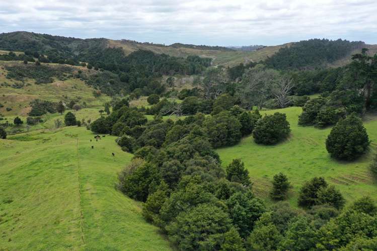 Lot 2/347 Porter Road Paparoa_7