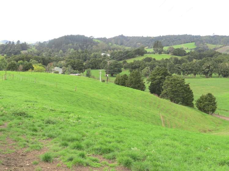 Marua Road Hikurangi_14