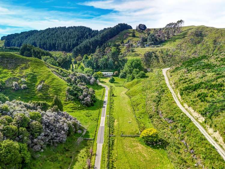 82 Thompsons Road Okoia_23