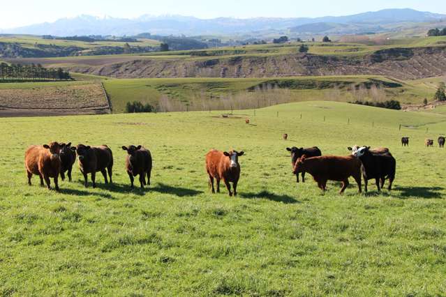 17 Timewell Road Hazelburn_1