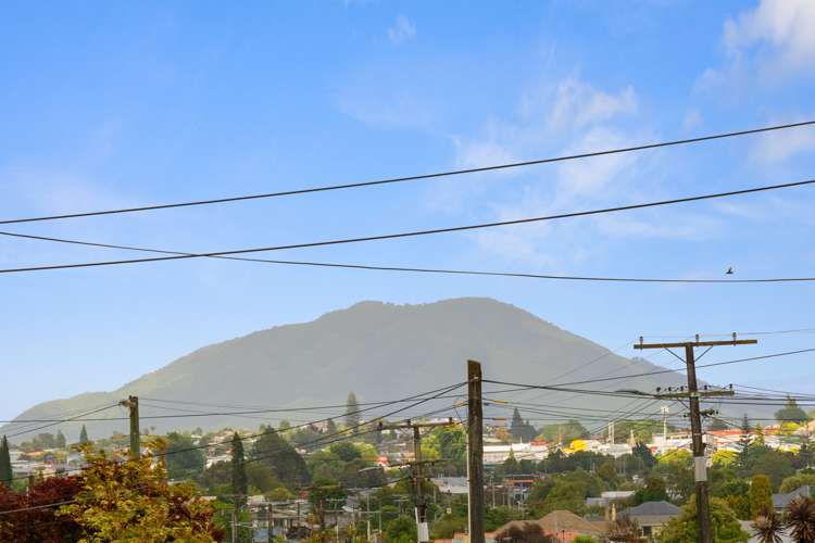 1280 Te Rahu Road Te Awamutu_18