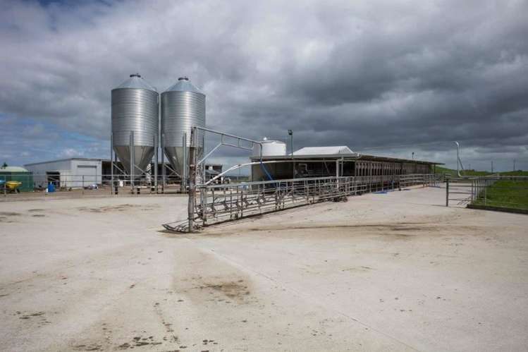 1308 Mossop Road Kinleith_11