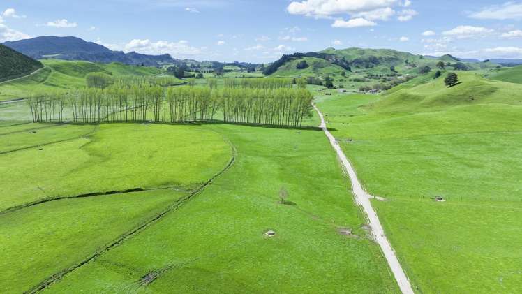 62 Rehi Road Ngakuru_3