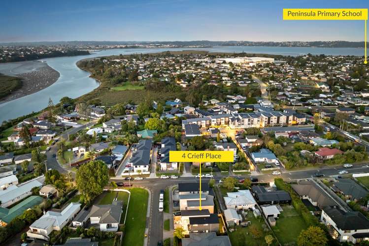 4 Crieff Place Te Atatu Peninsula_24