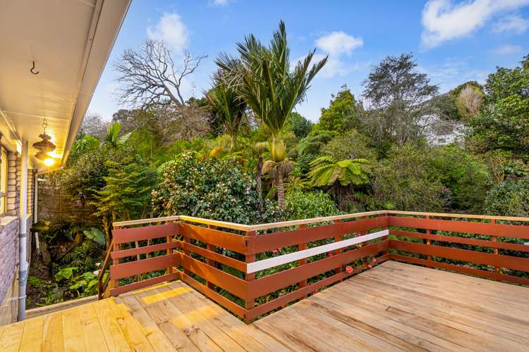 18b Impala Place Hillsborough_12