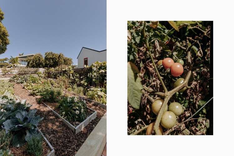 16 Tilby Drive Matua_33