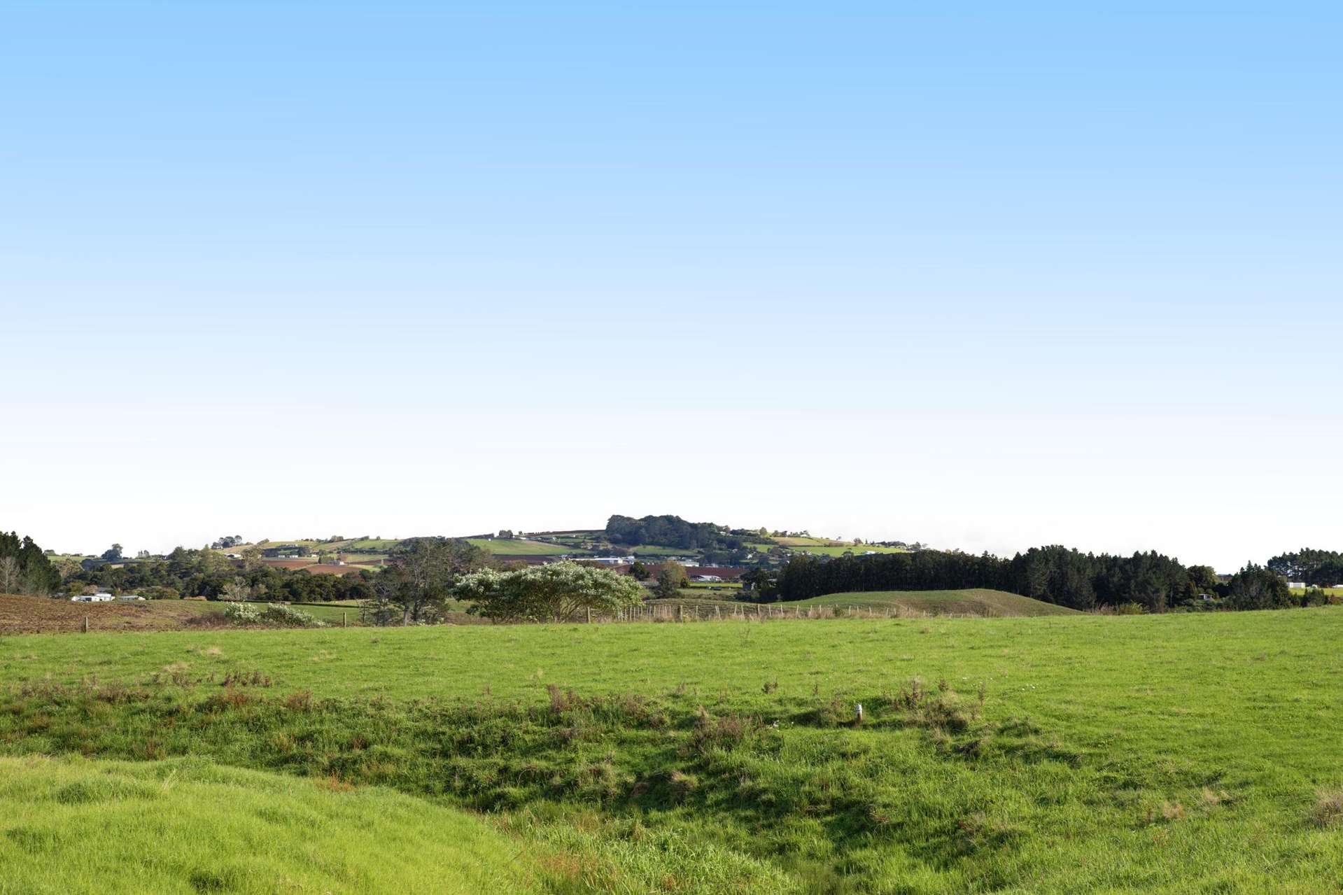 41 Lili Road Tuakau_0