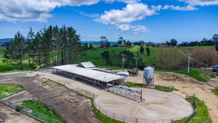 44 Te Rauamoa Road Otorohanga_16