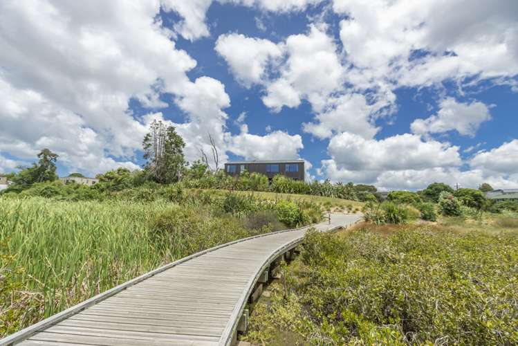 61b Holly Street Avondale_7