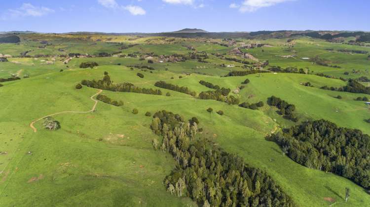 2192 Hetherington Road Ruawaro_15