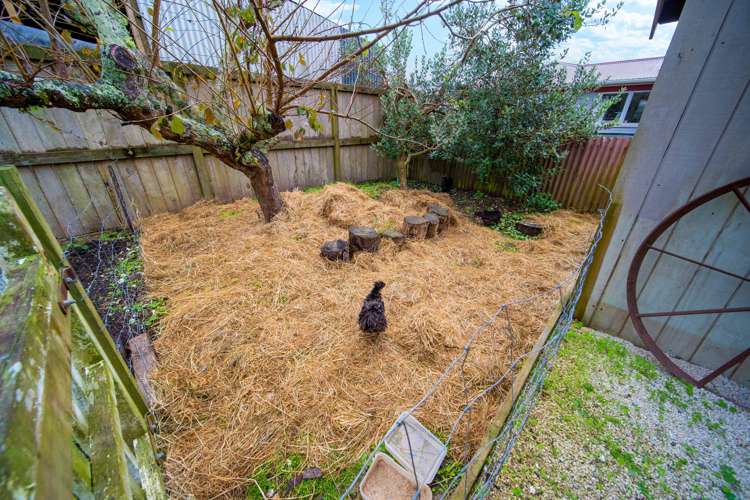 53 King Street Hikurangi_22