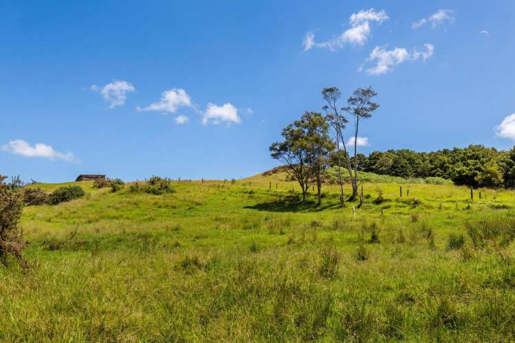 47 Witheford Road Wellsford_21