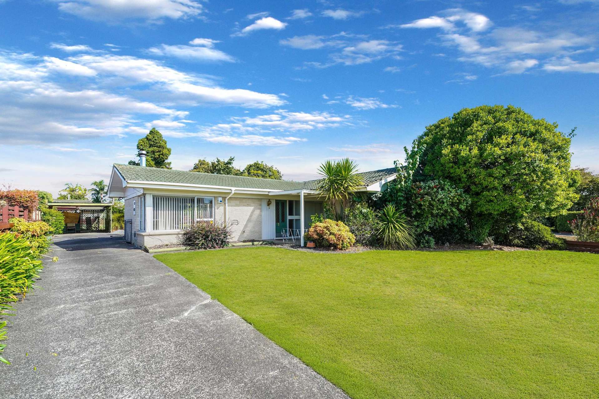 20 Sunnypark Avenue Rosehill_0