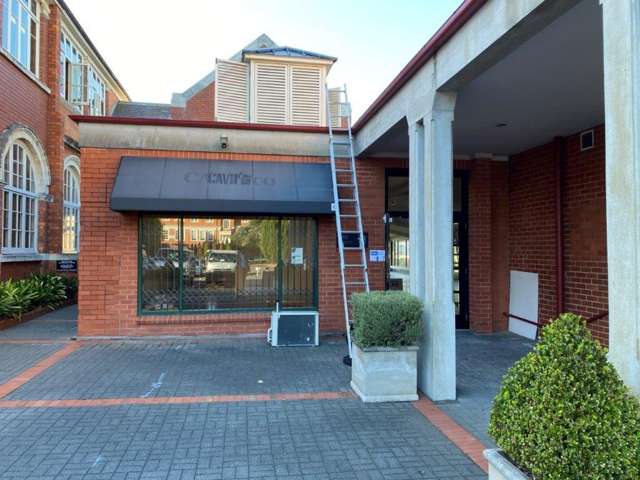 545 Parnell Road Parnell_4