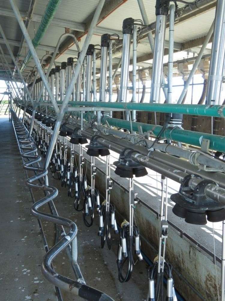 110 Donehue Road Clandeboye_5