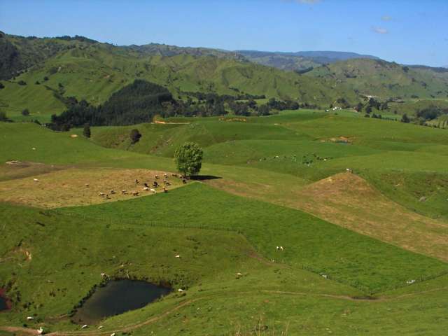 1843 Oio Road Ruapehu-King Country Surrounds_2