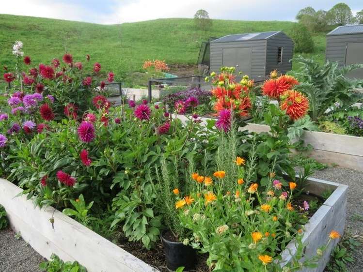 94 Raukawa Road Peka Peka_17