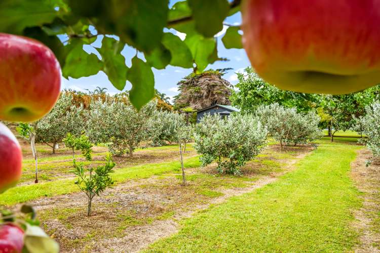 244 Omaha Flats Road Tawharanui Peninsula_19