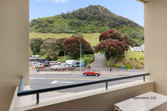 1-3 Maunganui Road Mt Maunganui_3