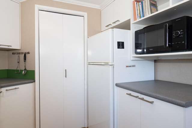 49 Harrison Street Allenton_3