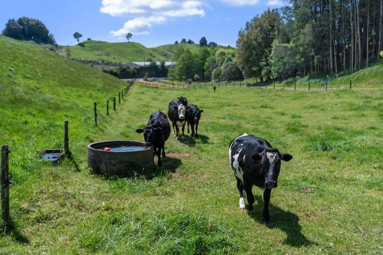 1849 Manawahe Road Manawahe_54