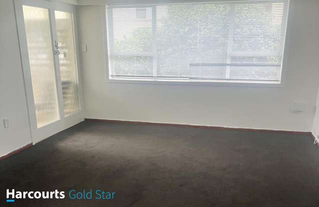 801 Rolleston Street Thames_2