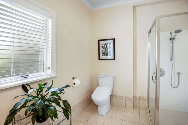 11 Porritt Street Saint Johns Hill_20