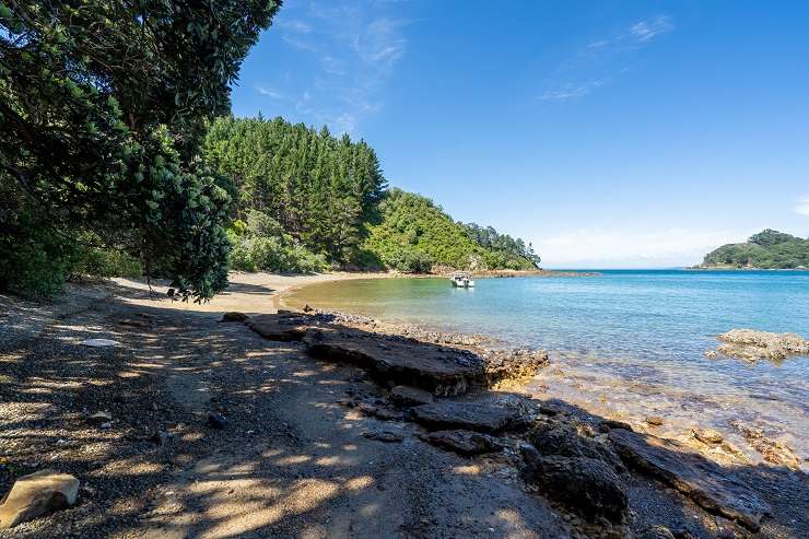 Motuketekete Island, Hauraki Gulf, Auckland