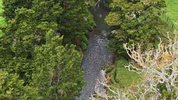 140 Kenana Road Mangonui Surrounds_5