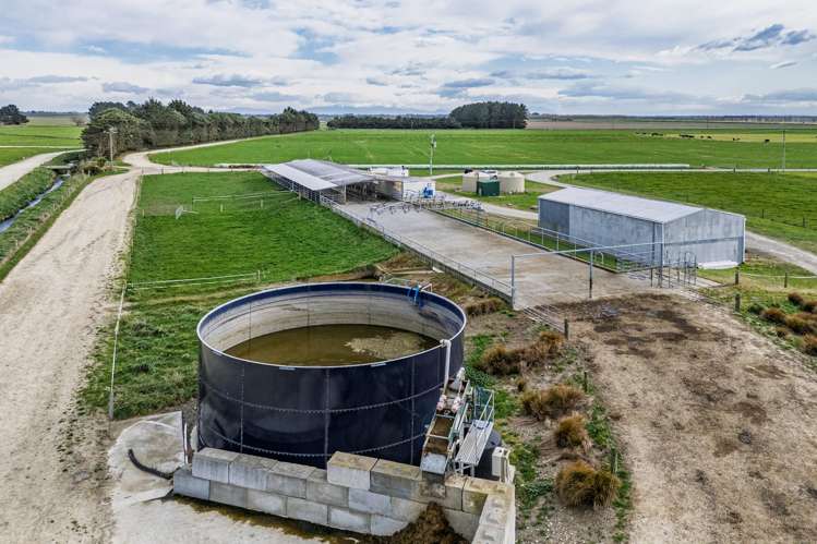 38 Williams Road Eiffelton_6