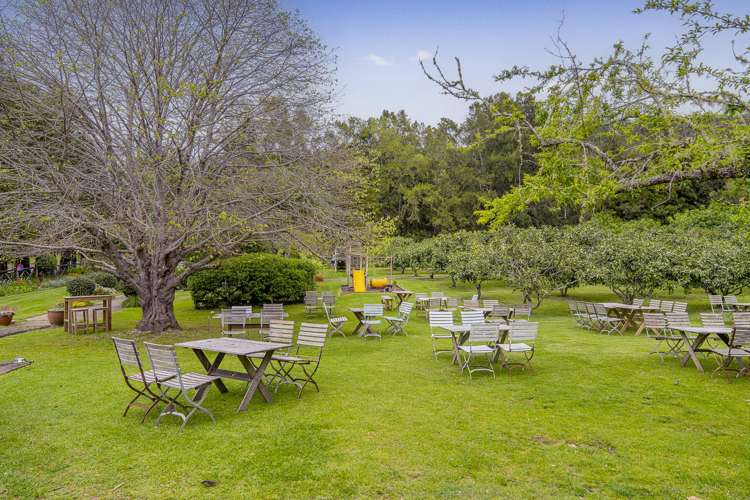 895 Tairua Whitianga Road, SH25 Whenuakite_29