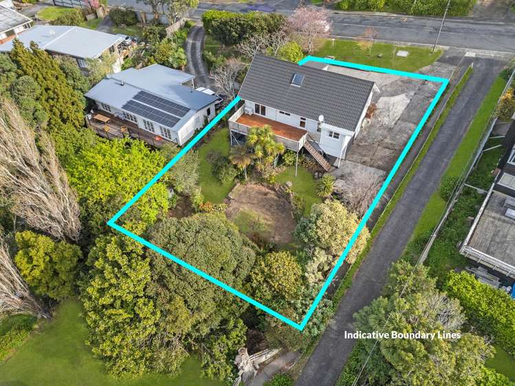 52 Carlton Street Hillsborough_51