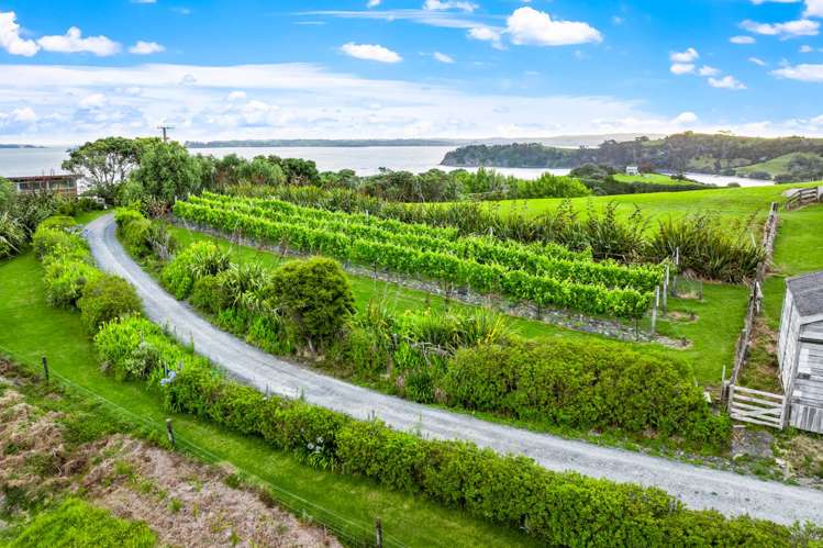 1024 Takatu Road Tawharanui Peninsula_28