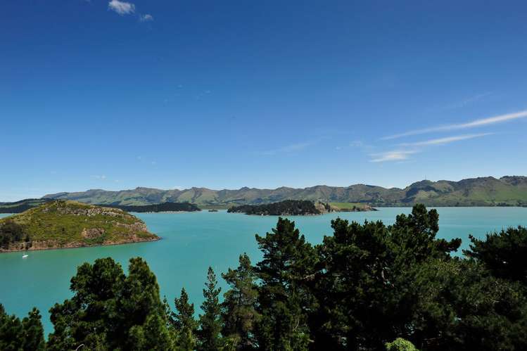 19 Athol Place Diamond Harbour_6