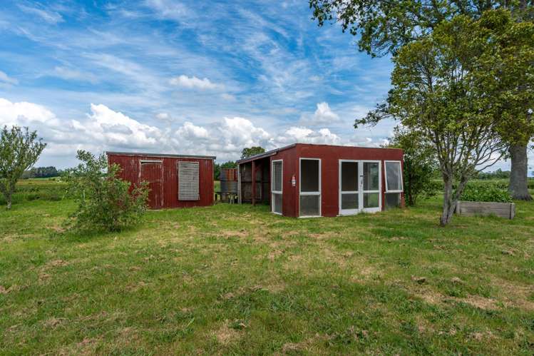 55 Boyd Road Gordonton_26