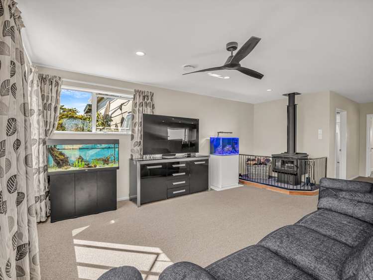 65 Nixon Street Tinwald_19