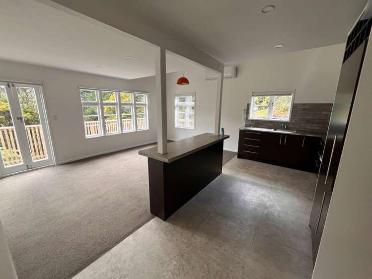 Whatipu Road Huia_19