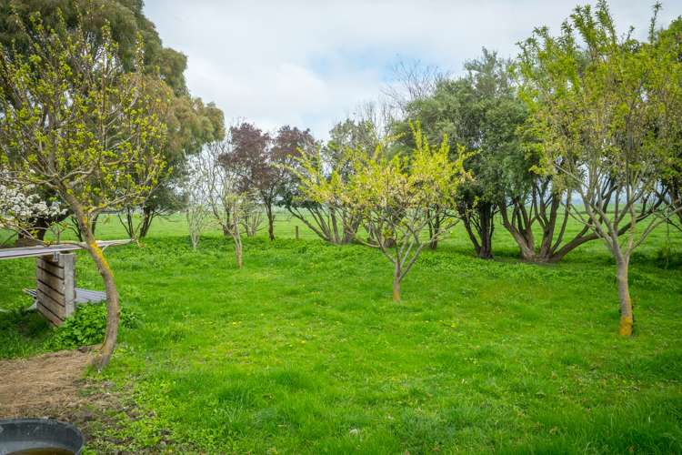 175 Blue Cliffs Road Saint Andrews_6