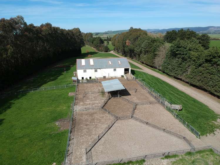 Waimotu Road Herbert_6