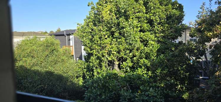 5/68 Olsen Avenue Hillsborough_8