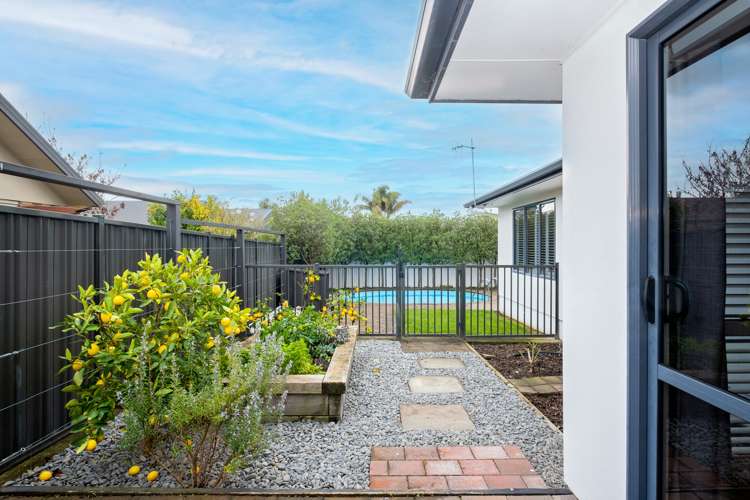 55 Palmbrook Avenue Havelock North_17