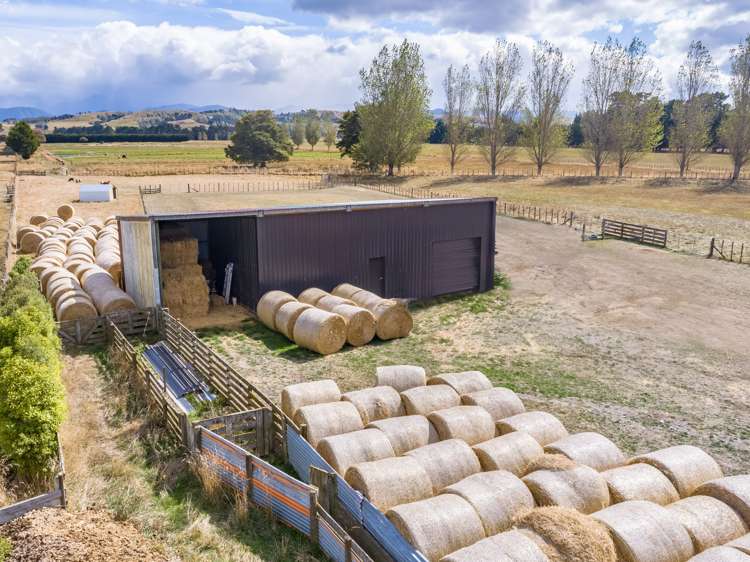 85 Budd Road Upper Plain_19