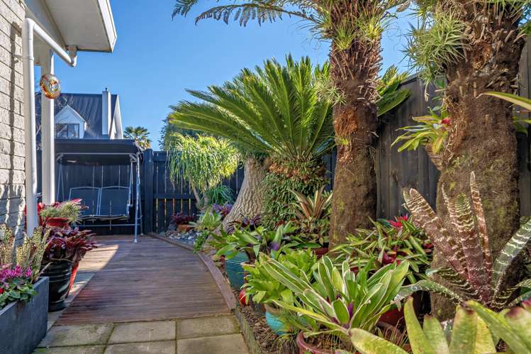 12b Hikurangi Street Whakatane_17