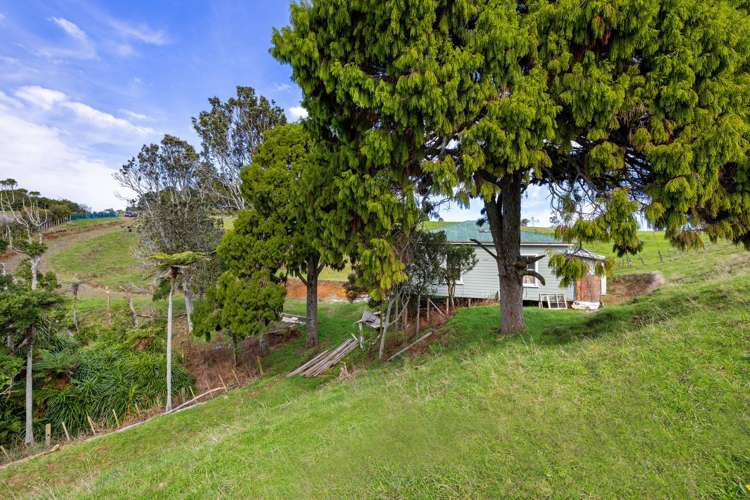 62 Cornes Road Raglan_11