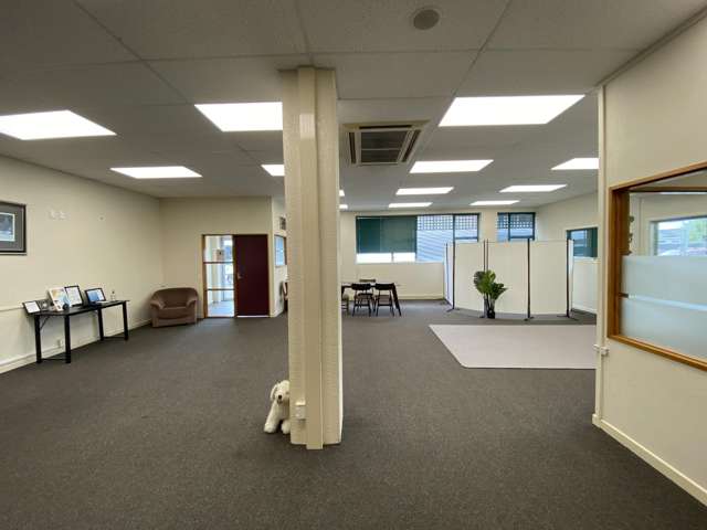 Ground Floor, 109 Princess Street Palmerston North_2