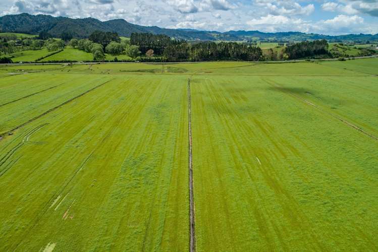 547 State Highway 2 Mangatawhiri_6