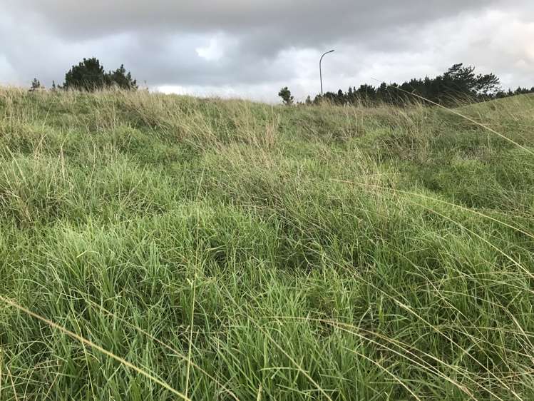 9 Kitenga Road Flat Bush_8