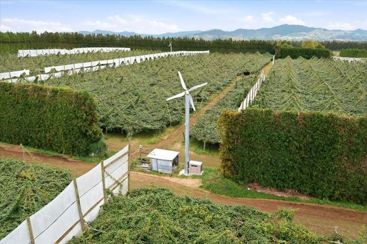 79 Woodlands Road Waihi Beach_6