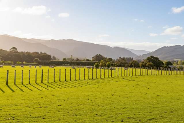 284 Woodside Road Greytown_4